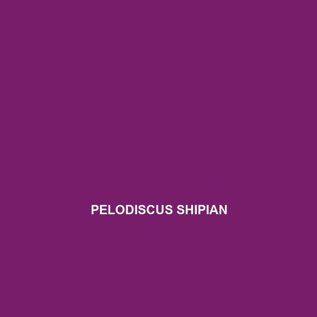 Pelodiscus shipian