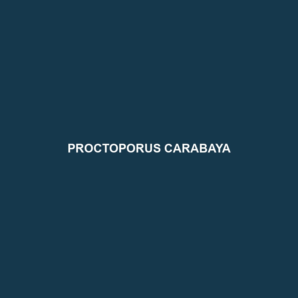 Proctoporus carabaya