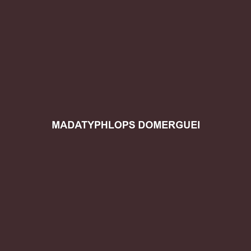 Madatyphlops domerguei