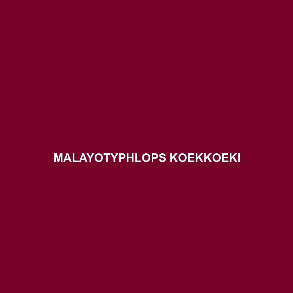 Malayotyphlops koekkoeki