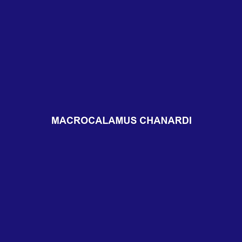 Macrocalamus chanardi