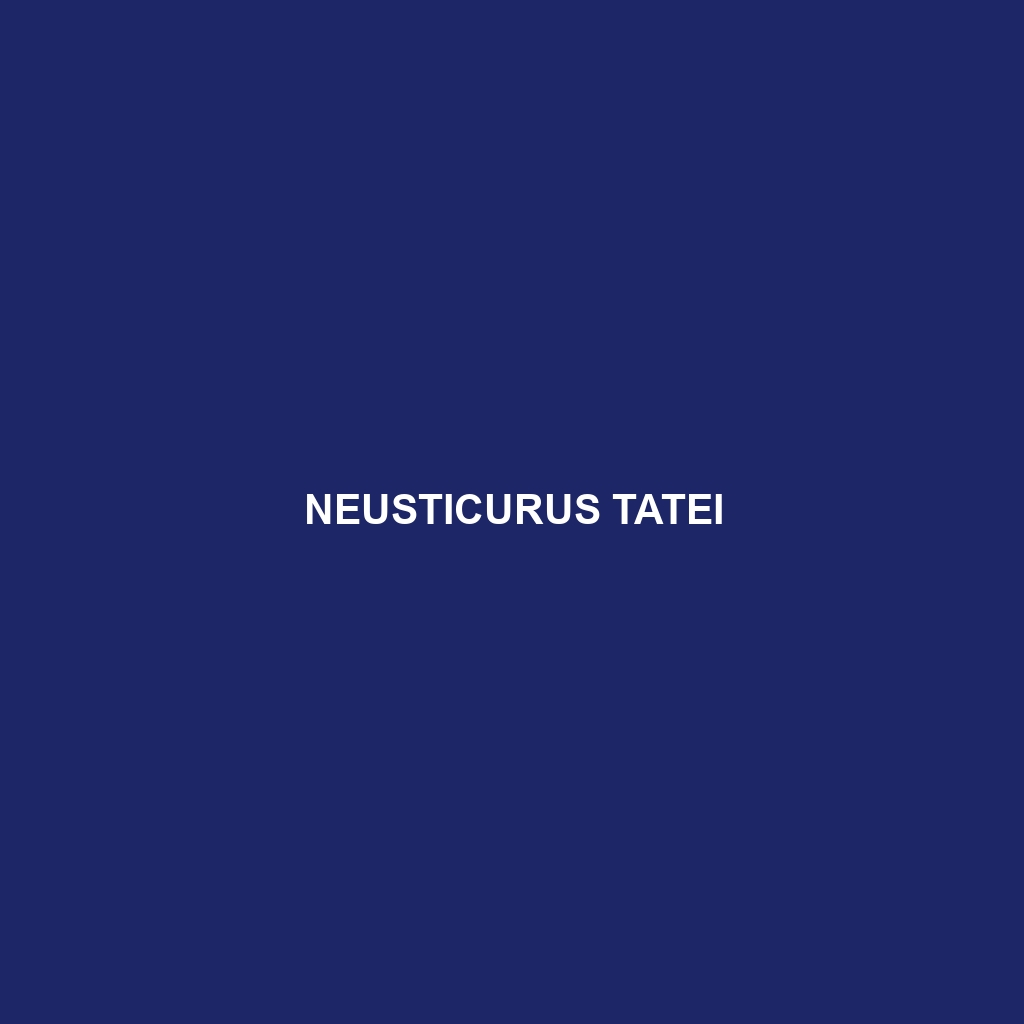 Neusticurus tatei