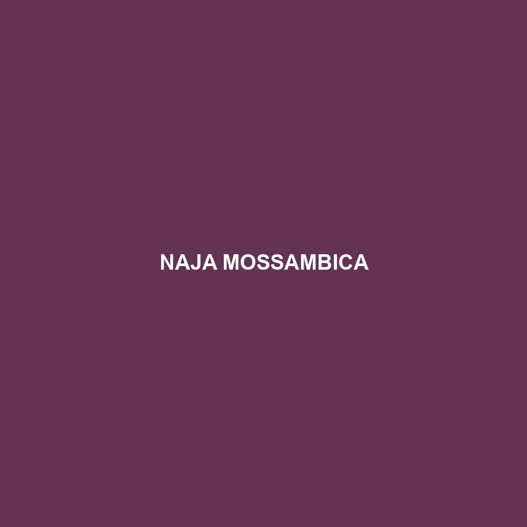 Naja mossambica