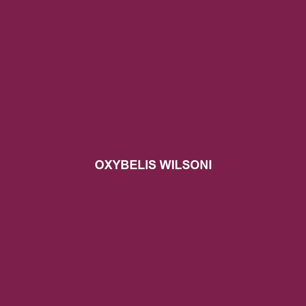 Oxybelis wilsoni