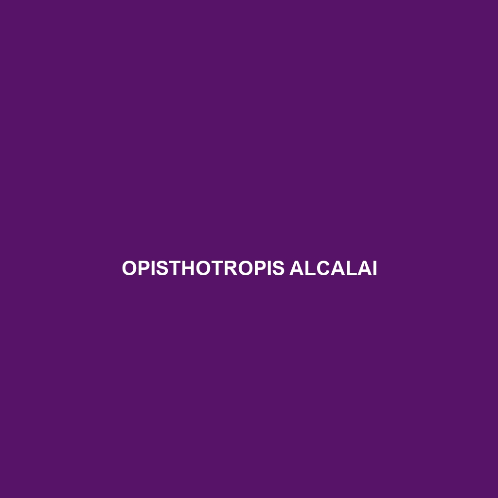 Opisthotropis alcalai