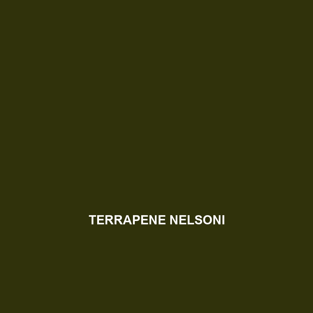 Terrapene nelsoni