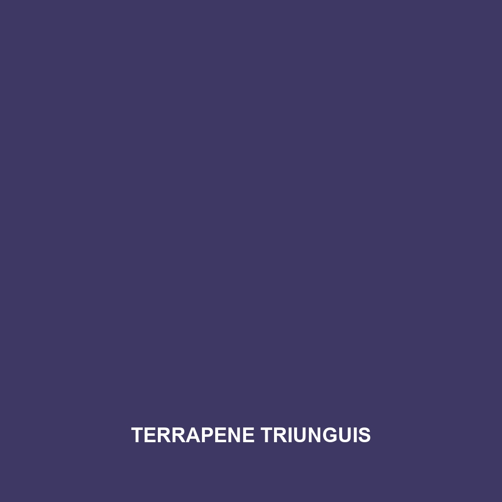 Terrapene triunguis