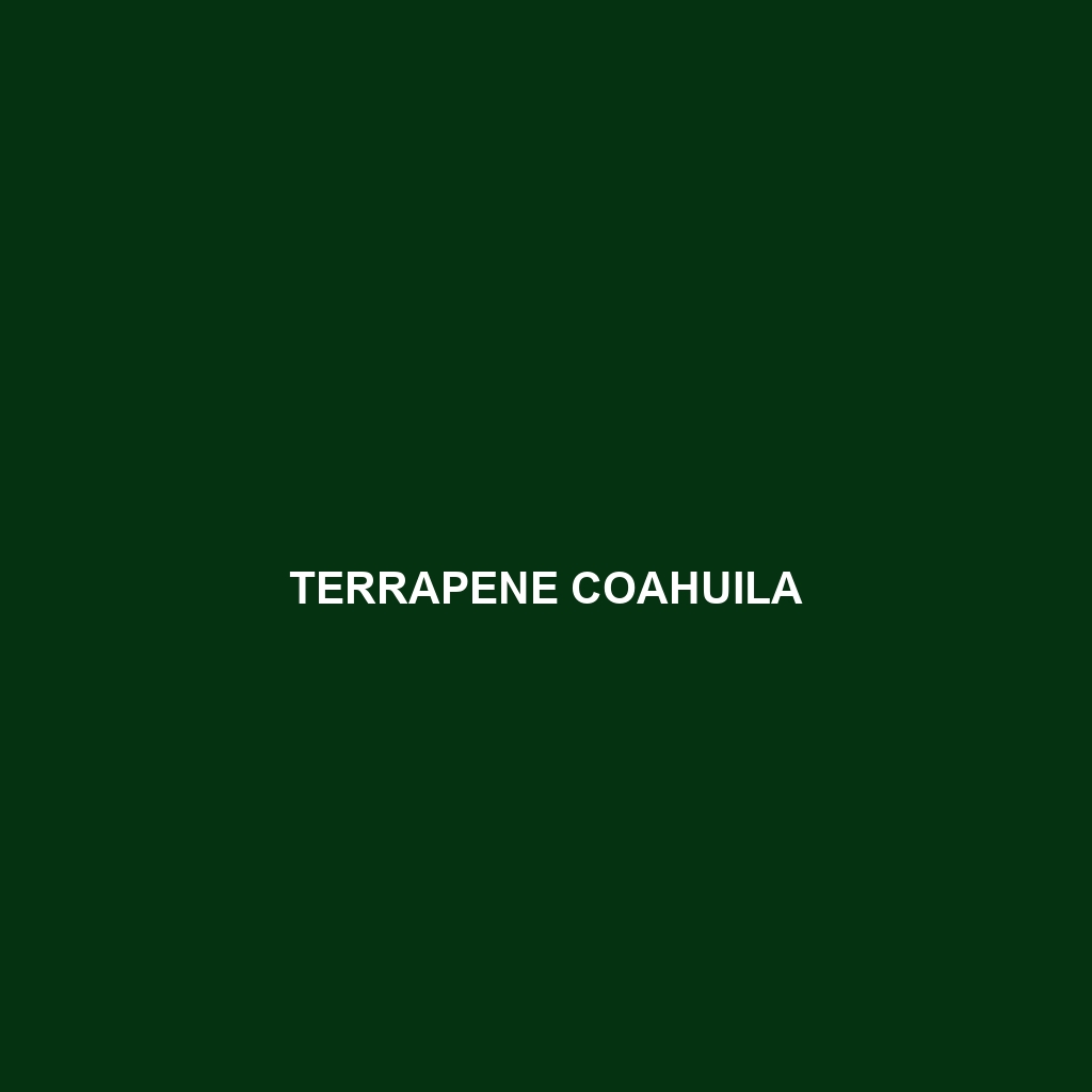 Terrapene coahuila