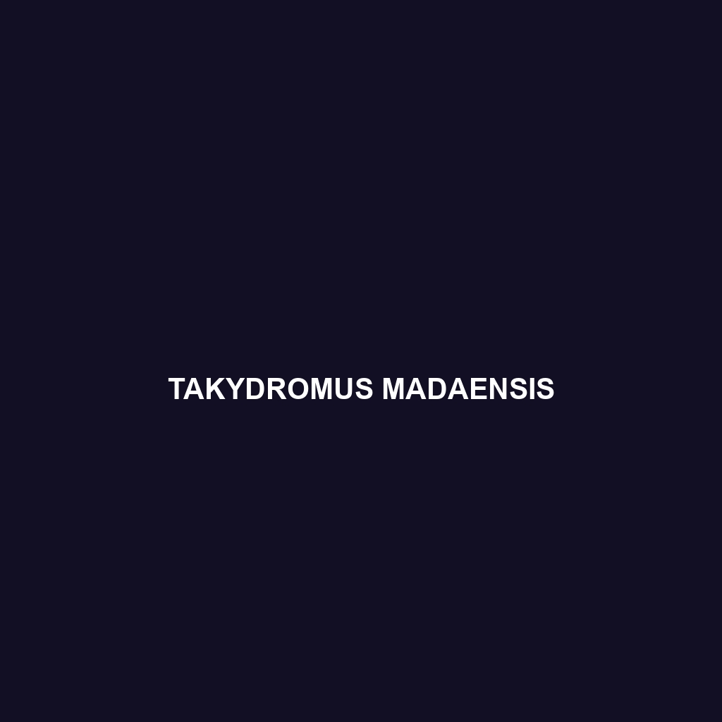 Takydromus madaensis