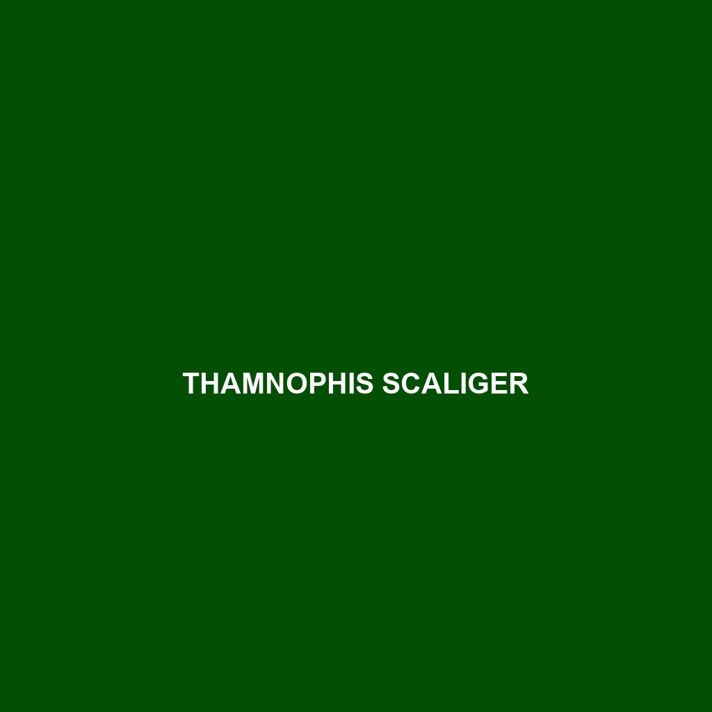 Thamnophis scaliger