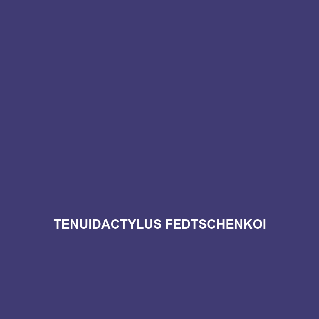 Tenuidactylus fedtschenkoi