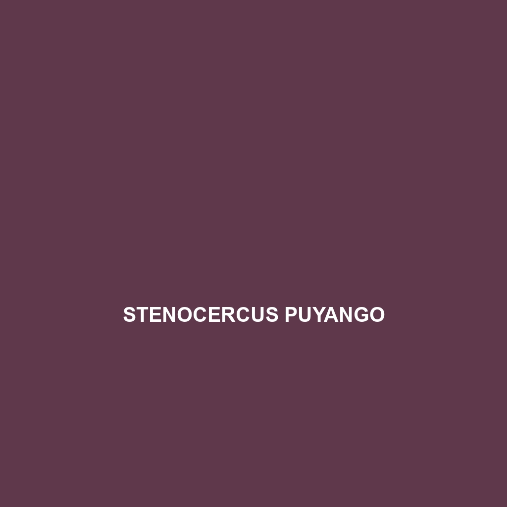 Stenocercus puyango