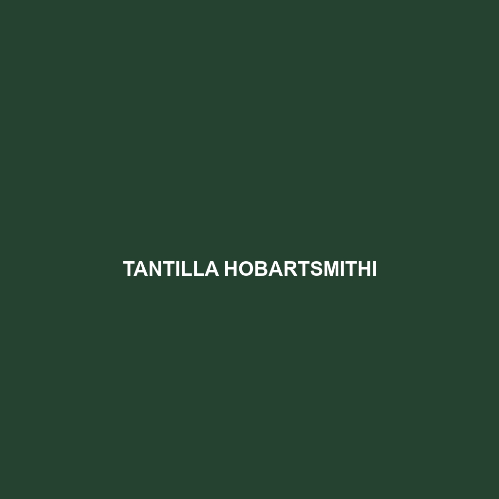 Tantilla hobartsmithi