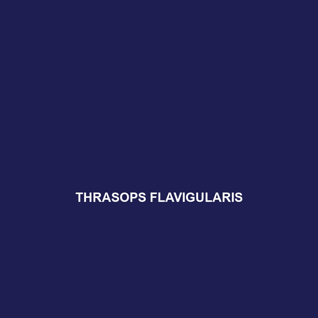 Thrasops flavigularis