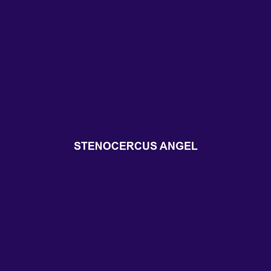 Stenocercus angel