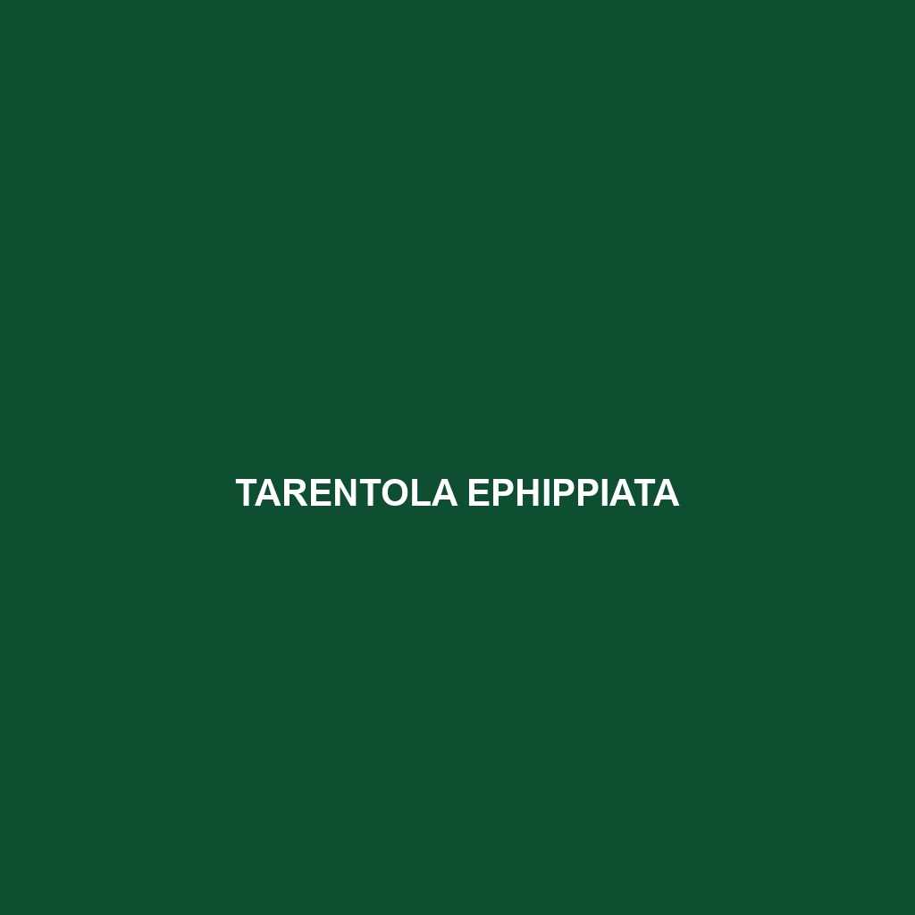 Tarentola ephippiata