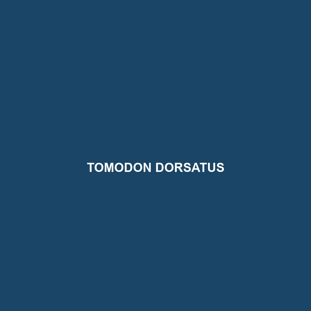 Tomodon dorsatus