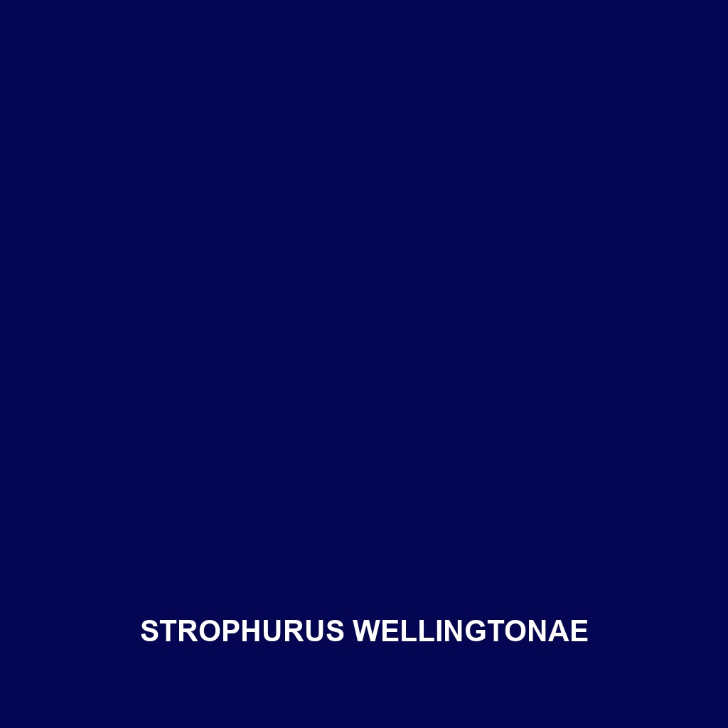 Strophurus wellingtonae