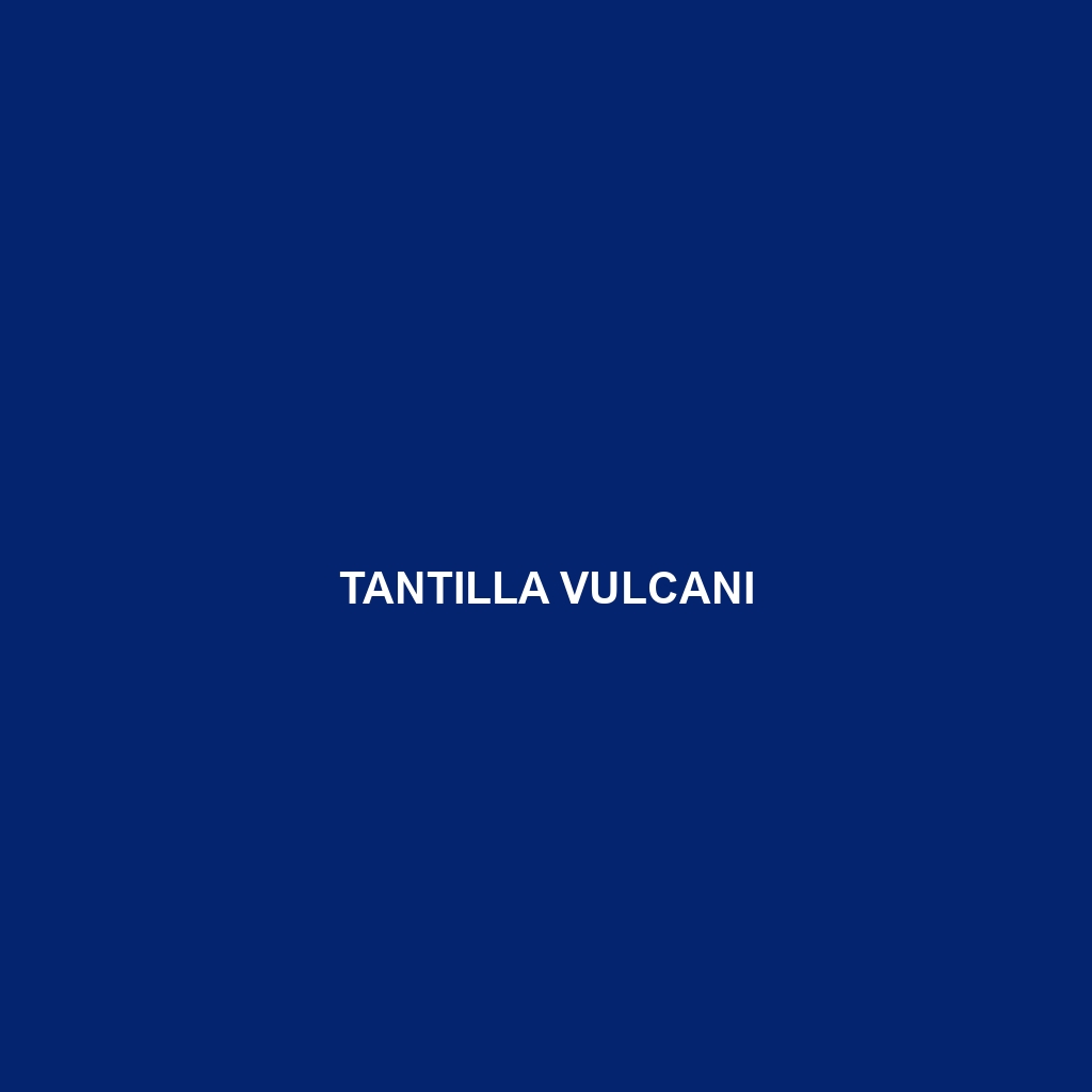 Tantilla vulcani