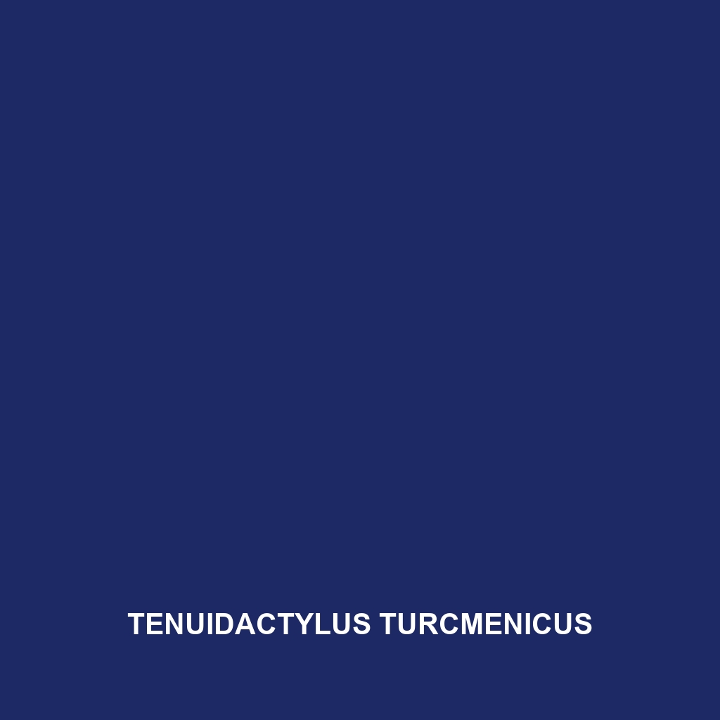 Tenuidactylus turcmenicus