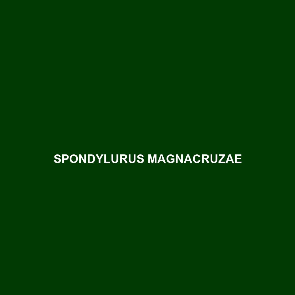 Spondylurus magnacruzae